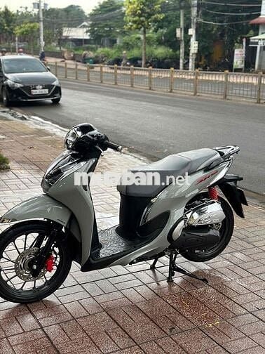 sh mode xám xi măng 2025