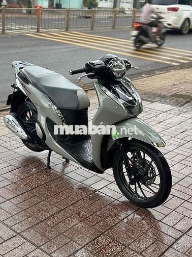 sh mode xám xi măng 2025