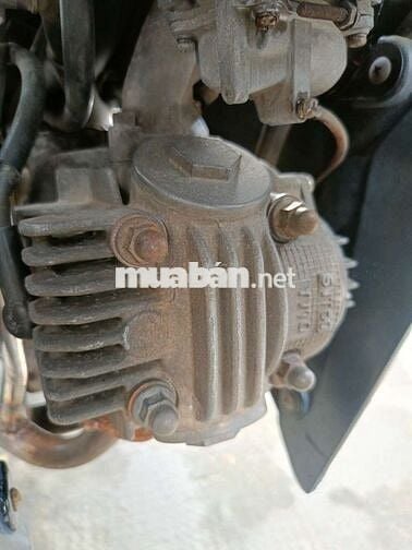 Sirius thái ống hơi