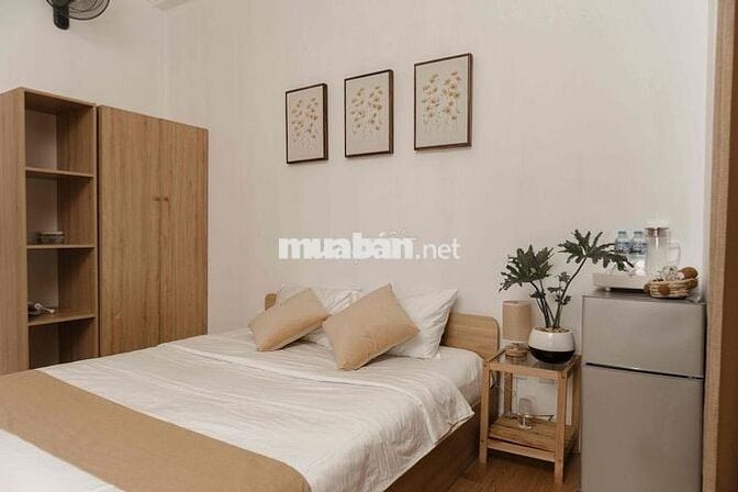 Chính chủ cho thuê phòng cửa sổ ngay mặt tiền PXL