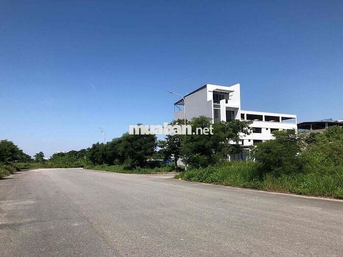 Đất 100m2 ngang 5m MT đường 12m Anh Dũng 5 chỉ 1,86 tỷ