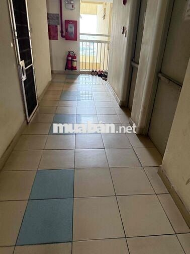 Căn hộ chung cư đông hải 64m2 2PN /2WC Sổ Riêng