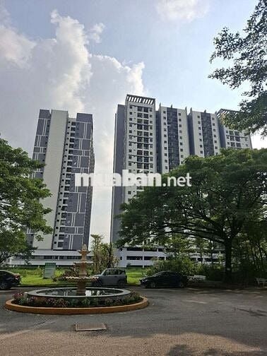 Eco Xuân căn góc tầng cao full nội thất 86m2 3Pn