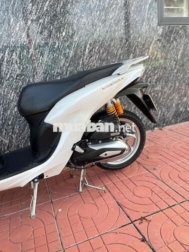 Vision 2024 zin kiểng đẹp