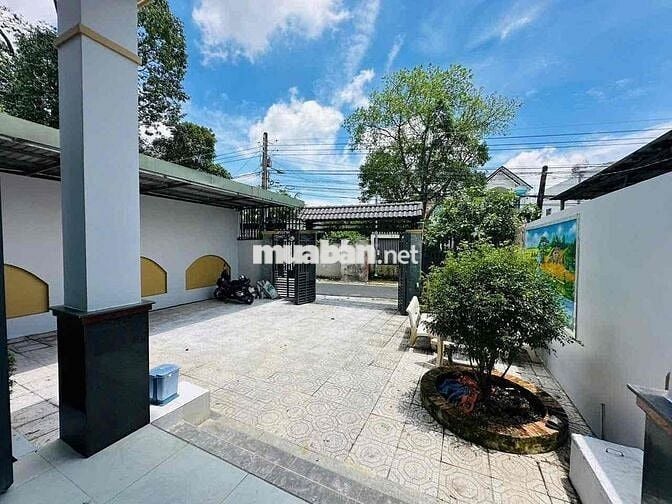 Cho thuê nhà Mái Thái Sân Vườn 3Phòng Ngủ Ở & VP Ngay chợ Phú Mỹ