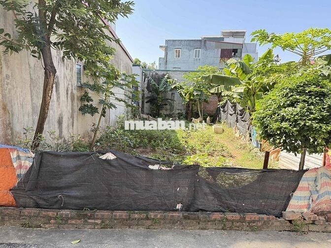 CHÍNH CHỦ BÁN ĐẤT 60M THỔ CƯ TÌNH QUANG GIANG BIÊN VIỆT HƯNG - HÀ NỘI