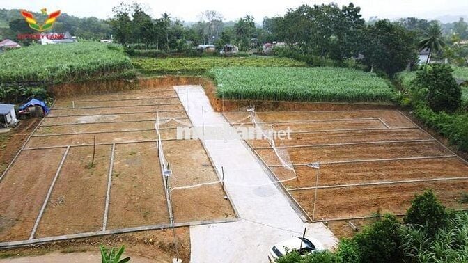 TẶNG NGAY 1 CHỈ VÀNG KHI MUA ĐẤT NỀN THẠCH BÌNH