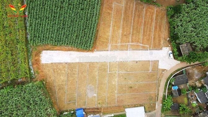 TẶNG NGAY 1 CHỈ VÀNG KHI MUA ĐẤT NỀN THẠCH BÌNH