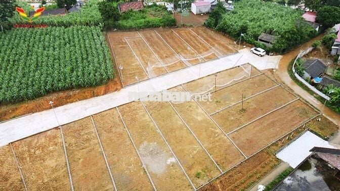 TẶNG NGAY 1 CHỈ VÀNG KHI MUA ĐẤT NỀN THẠCH BÌNH