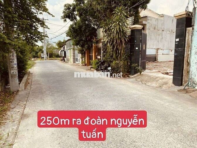 Bán đất 1/ đường Đoàn Nguyễn Tuấn, hẻm xe hơi vào tới đất.