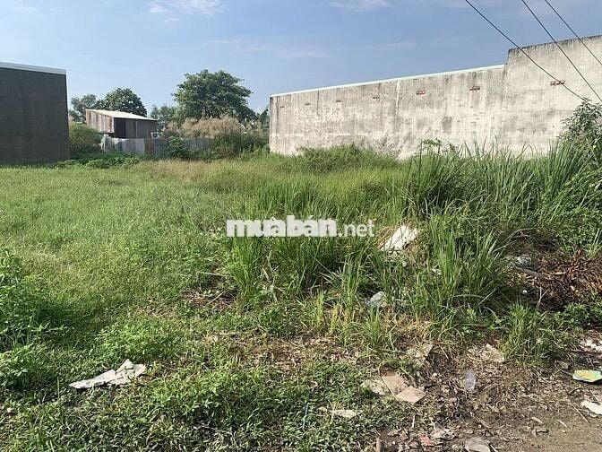 Đất dân chính chủ cần bán . Công chứng sang tên liền tay