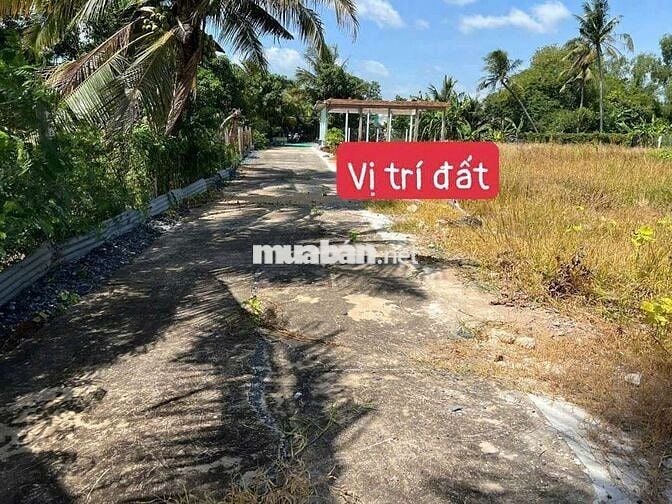 Bán đất 1/ đường Đoàn Nguyễn Tuấn, hẻm xe hơi vào tới đất.