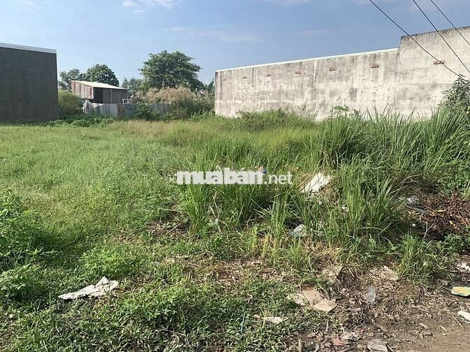 Đất dân chính chủ cần bán . Công chứng sang tên liền tay