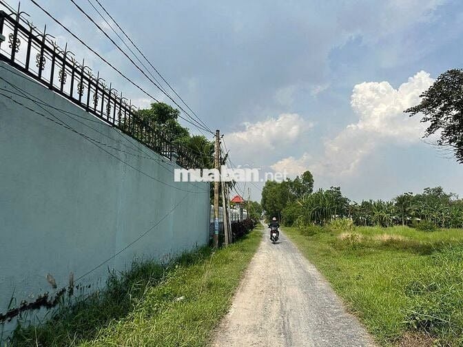 BÁN ĐẤT 8.2X37M THỔ CƯ 100%, KHU BIỆT THỰ, GẦN TỈNH LỘ 9, SỔ HỐNG SẴN