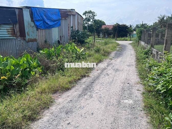 BÁN LÔ ĐẤT THỔ CƯ ĐỨC HOÀ 165m2