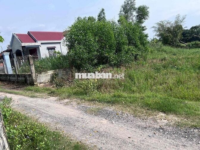 BÁN LÔ ĐẤT THỔ CƯ ĐỨC HOÀ 165m2