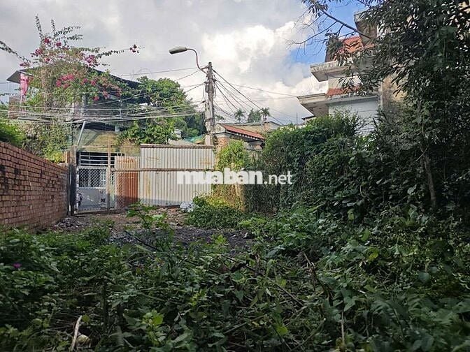 Đất Hẻm Xô Viết Nghệ Tĩnh Trung Tâm BMT Giá 1.390