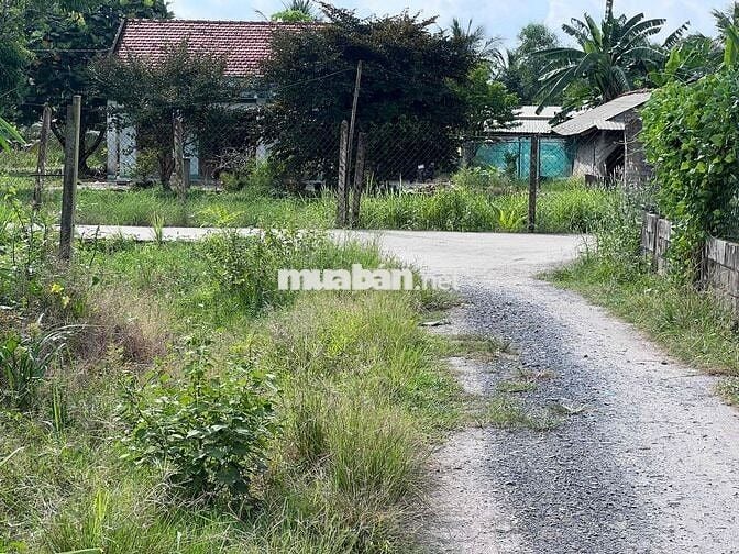 BÁN LÔ ĐẤT THỔ CƯ ĐỨC HOÀ 165m2