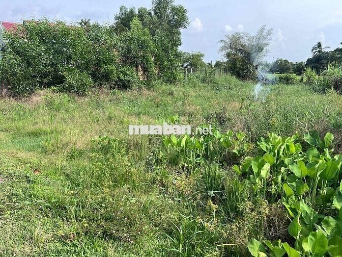 BÁN LÔ ĐẤT THỔ CƯ ĐỨC HOÀ 165m2