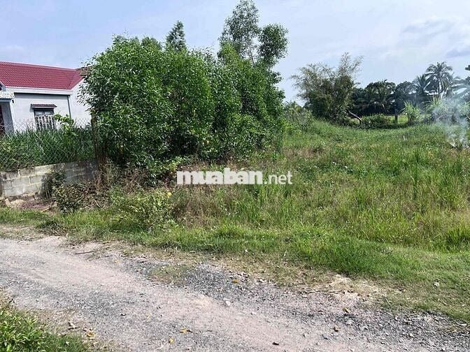 BÁN LÔ ĐẤT THỔ CƯ ĐỨC HOÀ 165m2