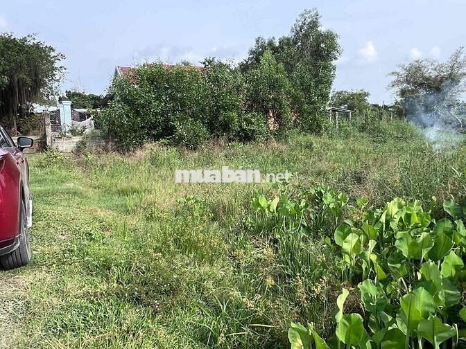 BÁN LÔ ĐẤT THỔ CƯ ĐỨC HOÀ 165m2