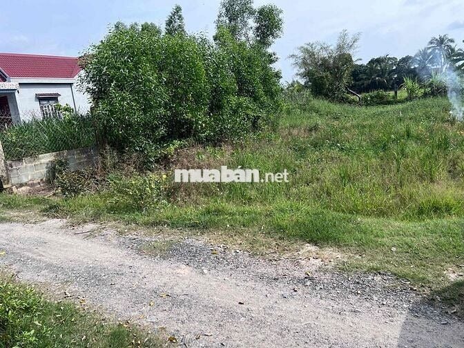 BÁN LÔ ĐẤT THỔ CƯ ĐỨC HOÀ 165m2