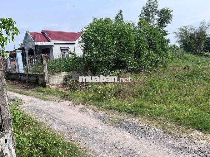 BÁN LÔ ĐẤT THỔ CƯ ĐỨC HOÀ 165m2