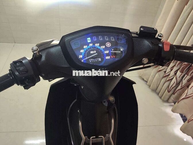 SIRIUS chínhchủ Full đồchơi tâm huyết để trưng bày