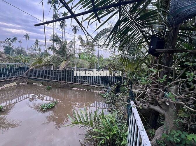 Nhà vườn 1068m2 6.8 tỷ thương lượng gần Rạch Tra