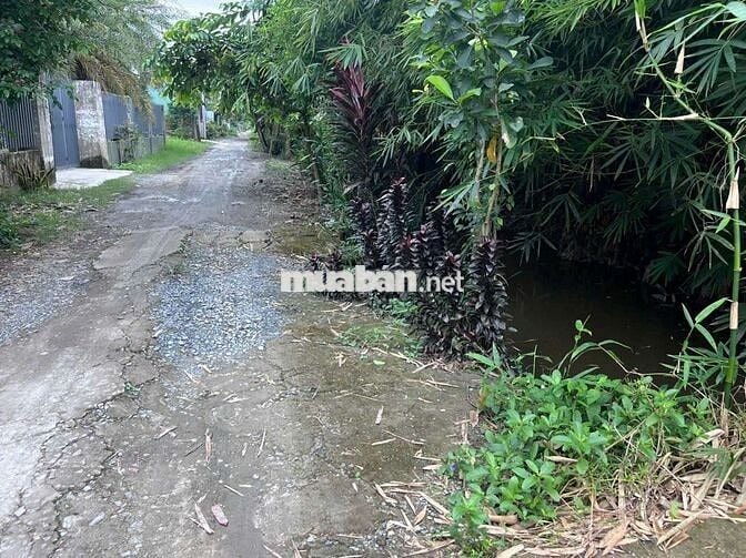 Nhà vườn 1068m2 6.8 tỷ thương lượng gần Rạch Tra