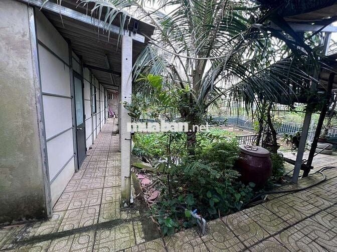 Nhà vườn 1068m2 6.8 tỷ thương lượng gần Rạch Tra