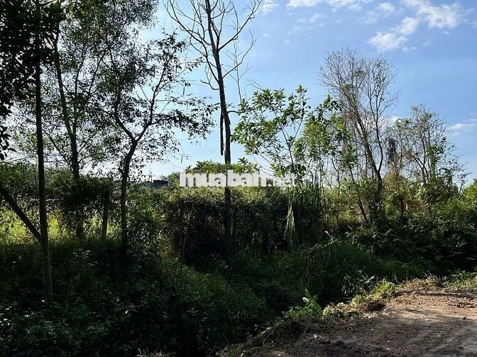 Bán đất mặt tiền đường 761, xã An Nhơn Tây, Củ Chi