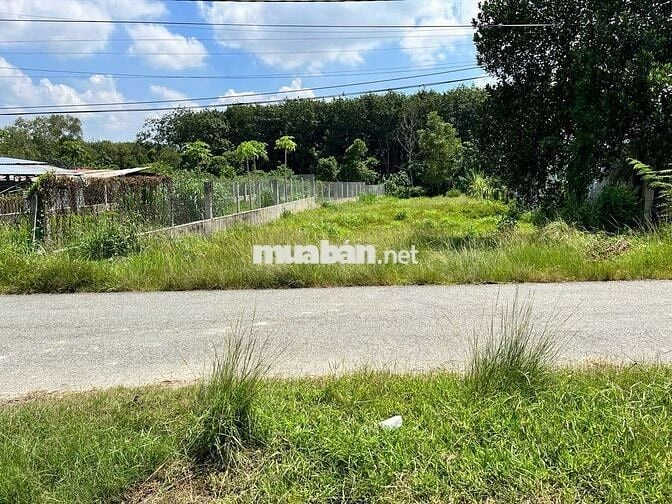 Bán đất mặt tiền đường 761, xã An Nhơn Tây, Củ Chi
