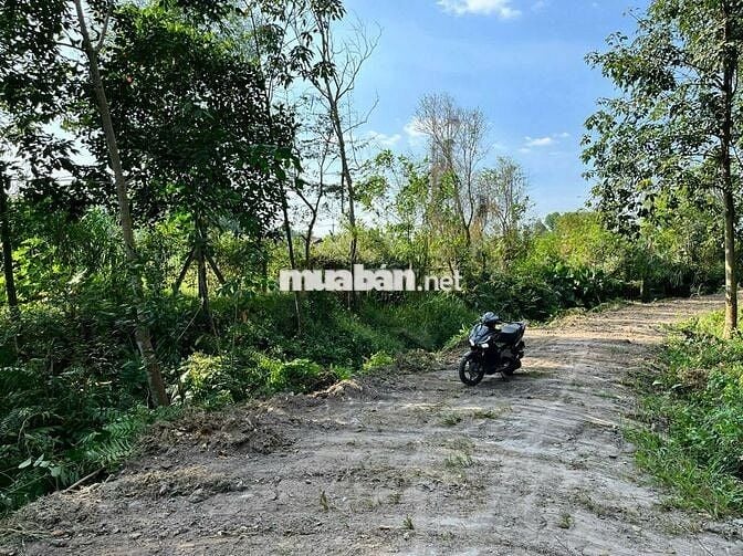 Bán đất mặt tiền đường 761, xã An Nhơn Tây, Củ Chi