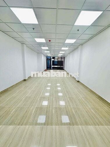 🔥 CHO THUÊ TÒA NHÀ MẶT TIỀN BẠCH ĐẰNG – P.2, TÂN BÌNH (KHU SÂN BAY)