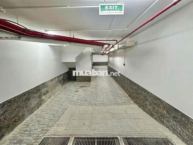 🔥 CHO THUÊ TÒA NHÀ MẶT TIỀN BẠCH ĐẰNG – P.2, TÂN BÌNH (KHU SÂN BAY)