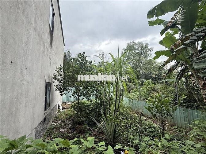 Ngân hàng SHB thanh lý đất xã Phú Xuân, Nhà Bè, TPHCM giá rẻ