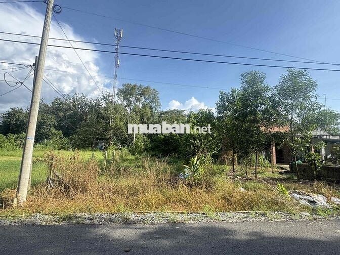 BÁN ĐẤT MẶT TIỀN ĐỖ THỊ NAM - Chính chủ