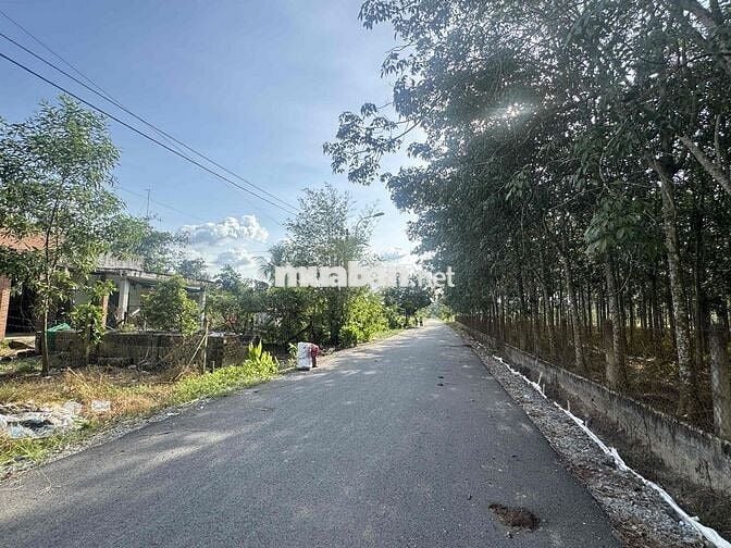 BÁN ĐẤT MẶT TIỀN ĐỖ THỊ NAM - Chính chủ