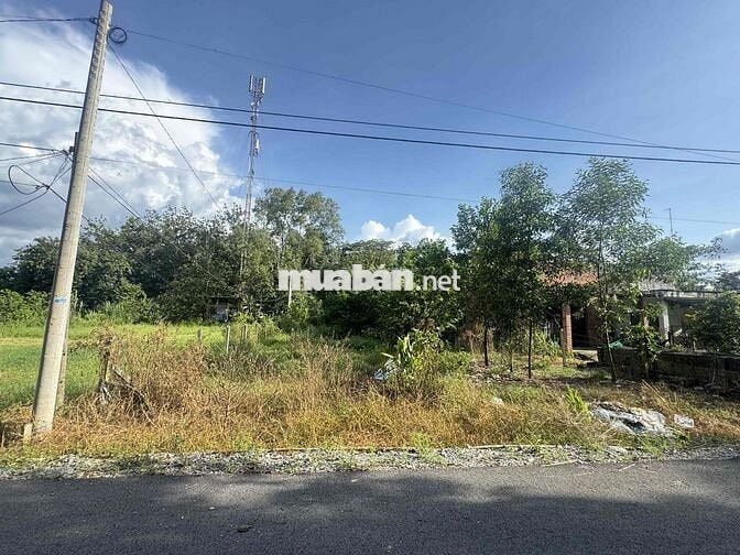 BÁN ĐẤT MẶT TIỀN ĐỖ THỊ NAM - Chính chủ