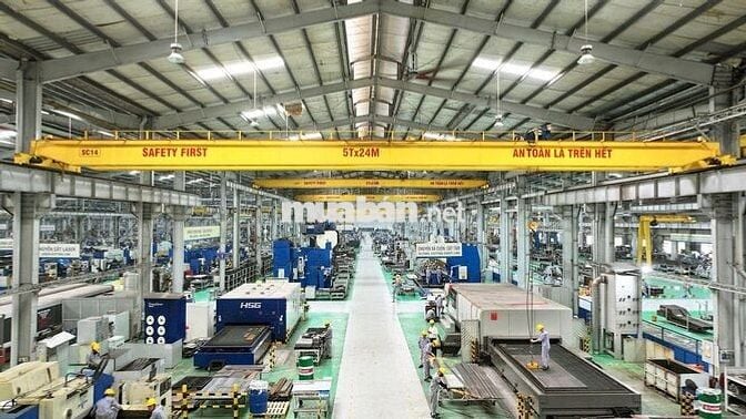 KHO XƯỞNG QL1A BÌNH CHÁNH 6000M2 GIÁ RẺ 60K/M2, SẴN PALANG, ĐƯỜNG CONT