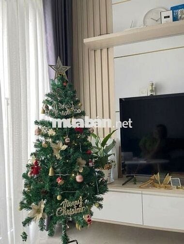 Cho thuê CHCC Xi Grand Court 18.5 triệu - 2PN - 2WC, NT