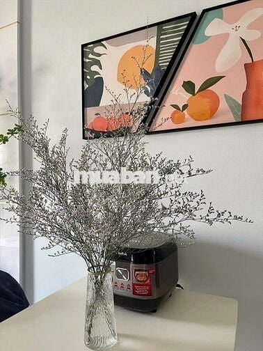 Cho thuê CHCC Xi Grand Court 18.5 triệu - 2PN - 2WC, NT