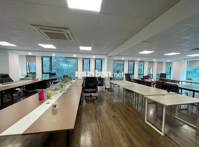 Cho thuê tòa nhà Trương Quốc Dung Phú Nhuận. Hầm 7 tầng giá ưu đãi.