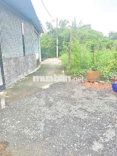 🌸 HIẾM! NHÀ NGANG 6M NỞ HẬU – 152M²– XE HƠI NGỦ TRONG