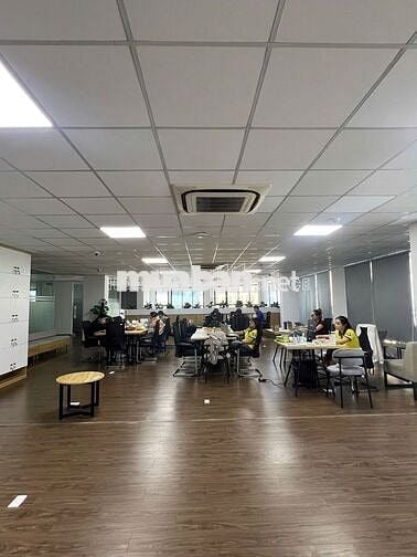 Cho thuê văn phòng Phổ Quang Tân Bình 320m² giá chỉ 11USD/m² bao phí