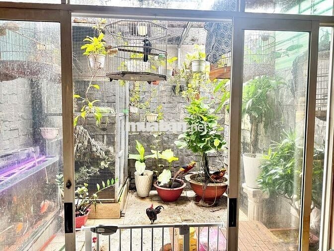 Chính chủ cần bán nhà tt hóc môn khu vực sầm uất ngay bùng binh lê lợi