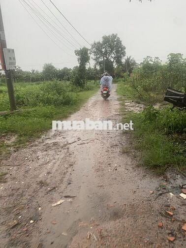 Cần bán đất 10x67m (TC 50m²) tại Hảo Đước – Tây Ninh, giá 550tr.