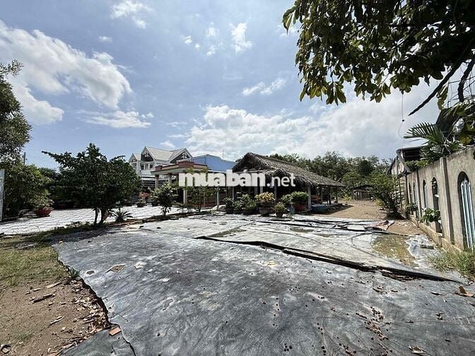 ĐẤT MẶT TIỀN NHỰA 12M – KHU DÂN CƯ - FULL THỔ CƯ 297M² – VIEW SÔNG