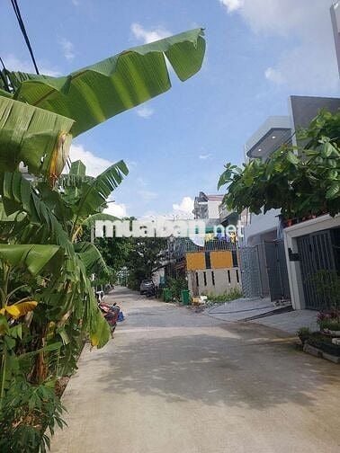 Đất nền -102,5m2-đường Nguyễn văn tạo -Nhà Bè.